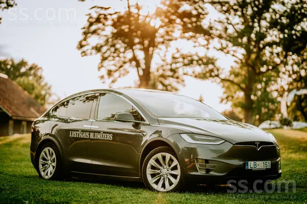 Tesla Tesla model X 100D. Ļoti labā stāvoklī. Viss darbo