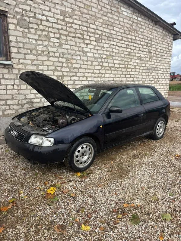 Audi Krūmu gonkām, bez dokumentiem.