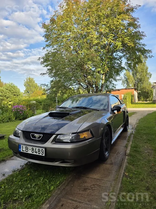 Ford Mustang - 1