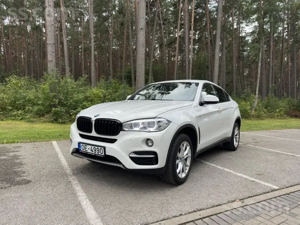 BMW Cena bez Pvn 19 421, 49 Eur. Lolots BMW X6 F16 xDr