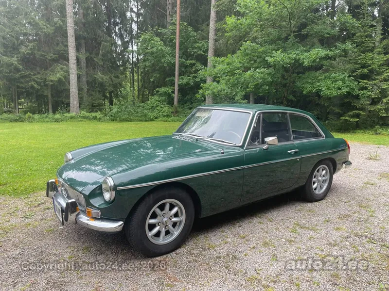 Mg BGT - 1