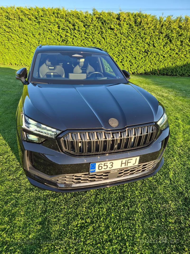Škoda Kodiaq - 1