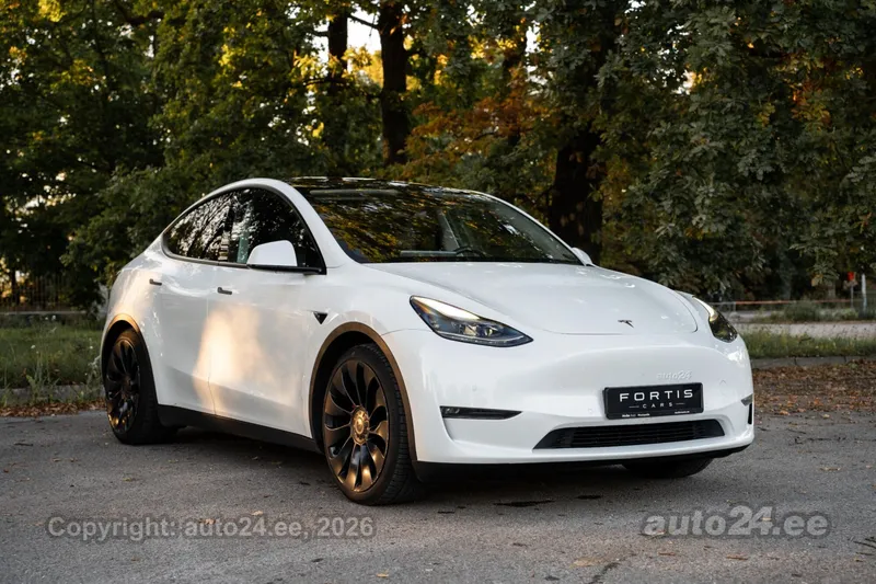 Tesla Tesla Model Y