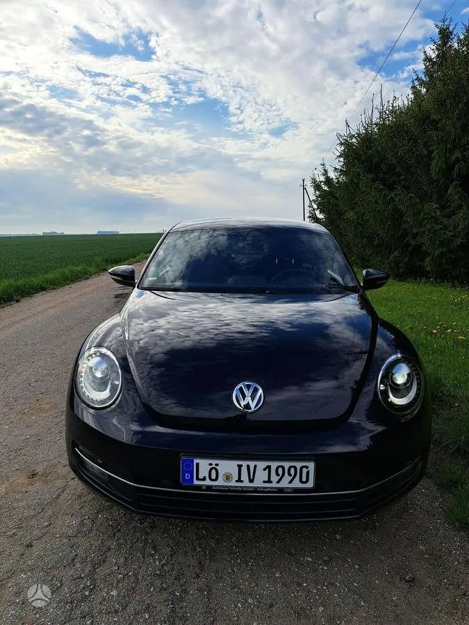 Volkswagen Beetle - 1