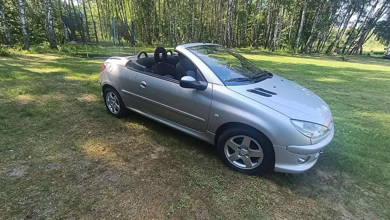 Peugeot 206 - 1