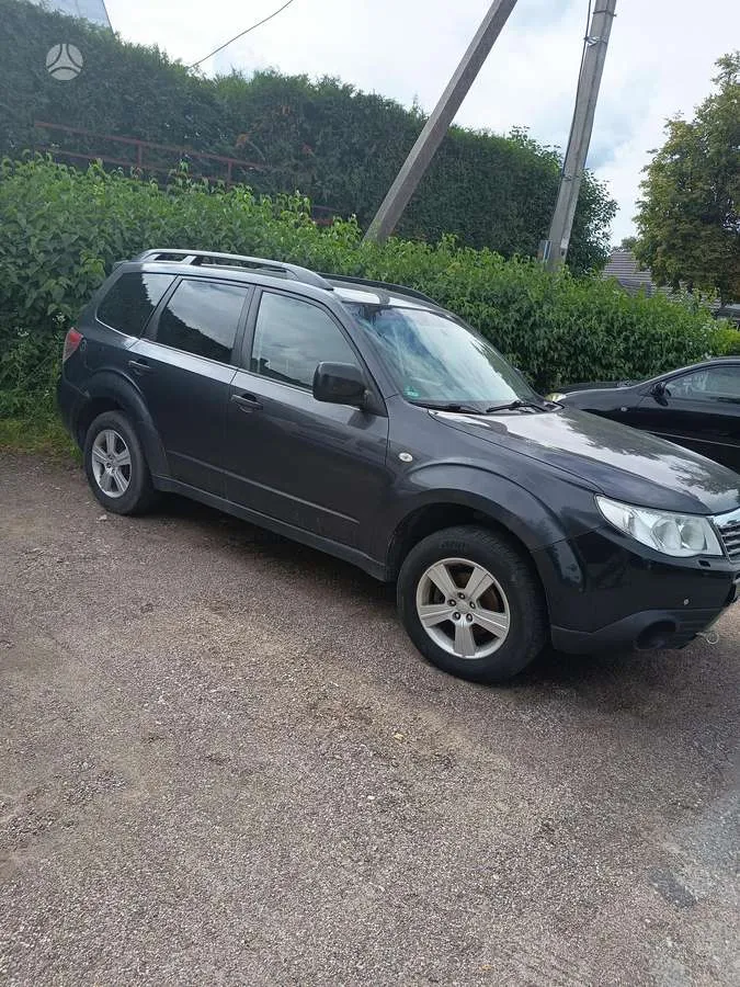 Subaru Subaru Forester