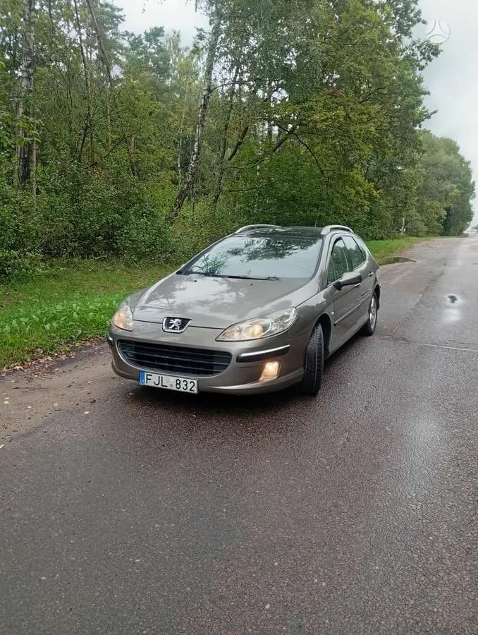Peugeot 407 - 1