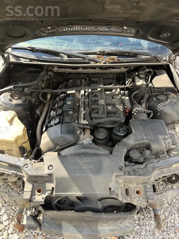 BMW 323