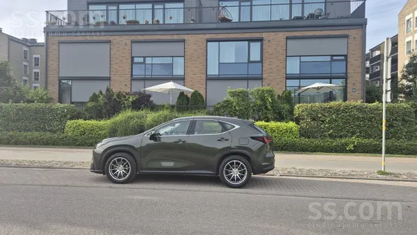 NX 350h Hybrid Drive Awd Business + Tehnolgy pack. (pilnpiedziņas versija)