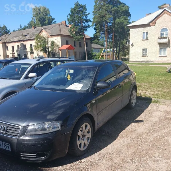 Audi Tiko izieta svaiga skate, iepriekšēja ipašniece si