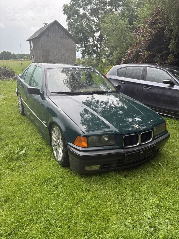 BMW 316