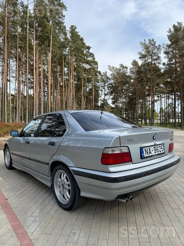 BMW 323
