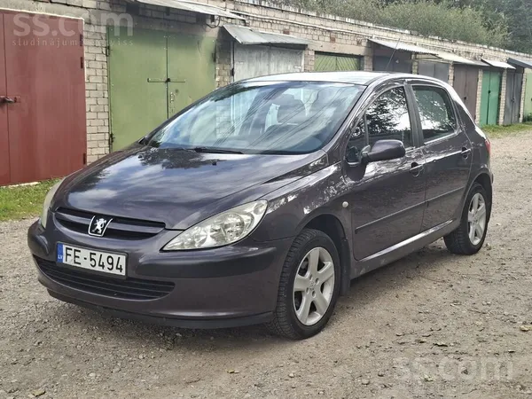 Peugeot Peugeot 307 / 2004. gads / 1, 6 benzīns / TA līdz 